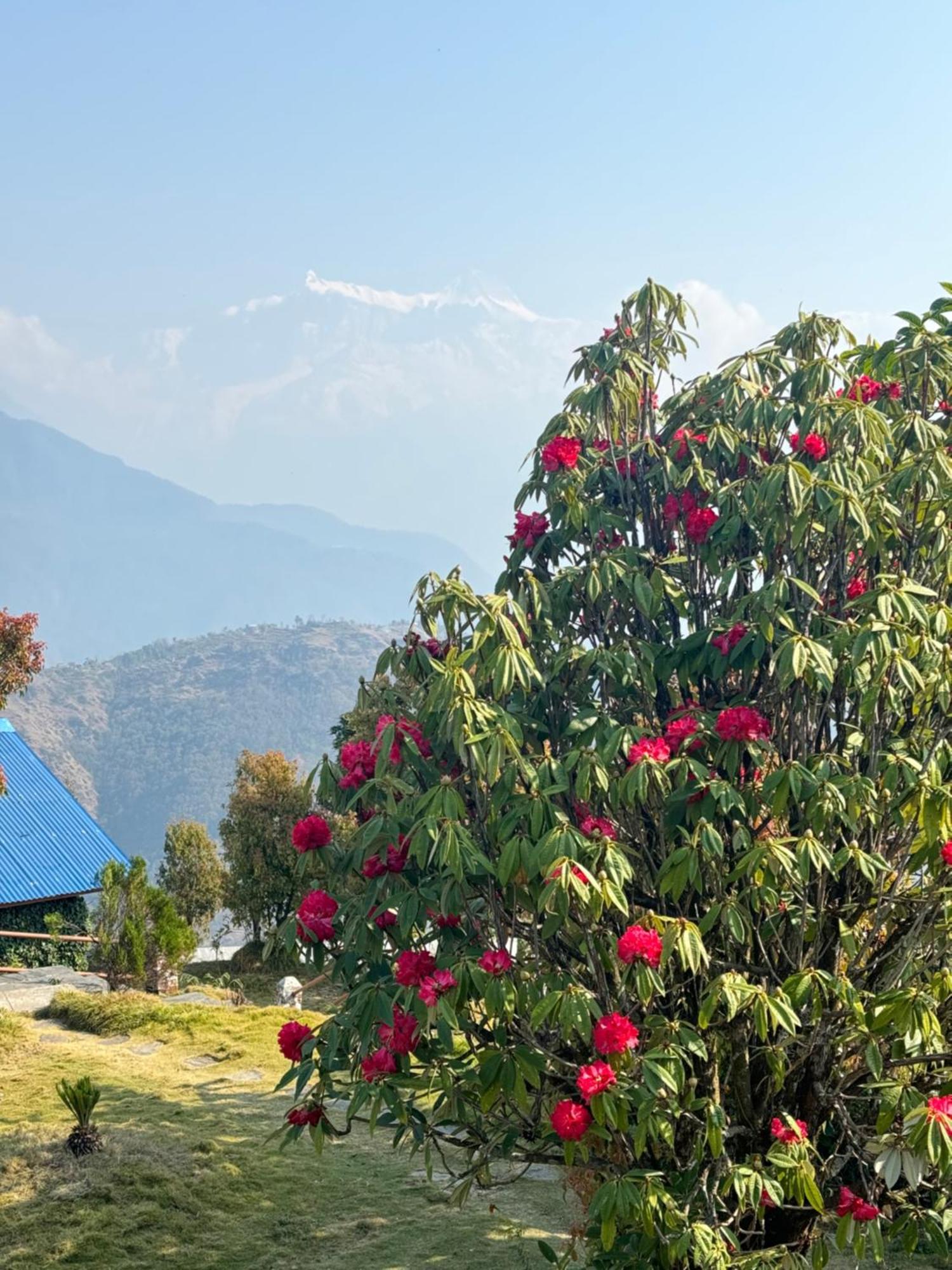 Es Deurali Resort Pokhara Eksteriør bilde